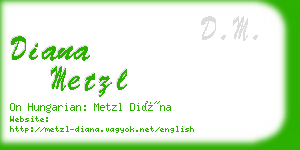 diana metzl business card